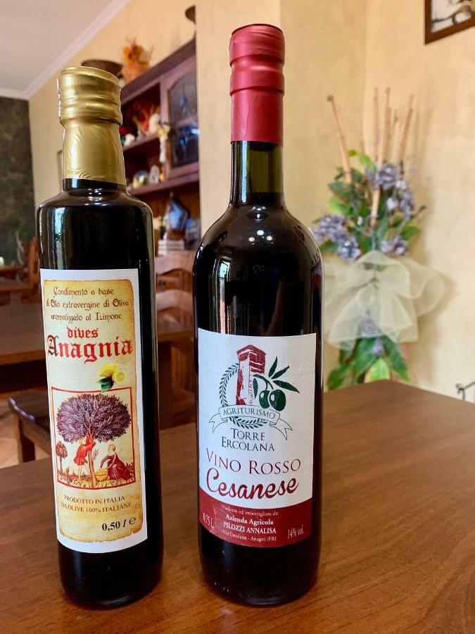 Agriturismo Torre Ercolana Anagni Dış mekan fotoğraf